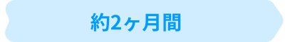 約2ヶ月間