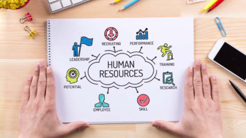人的資源管理の事例とは？施策や企業例、タレントマネジメントとの関連を解説